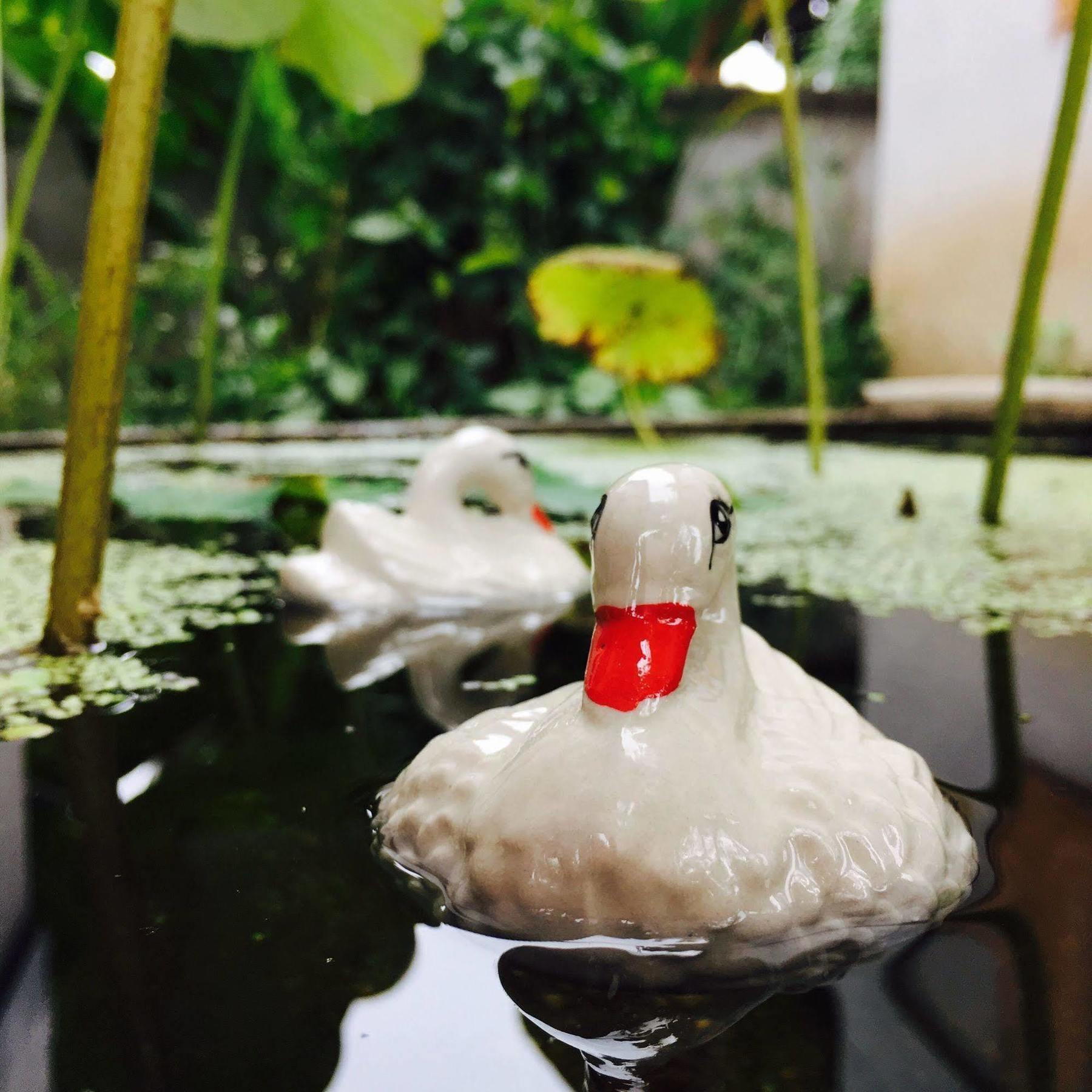 Ming Guesthouse Пай Екстериор снимка