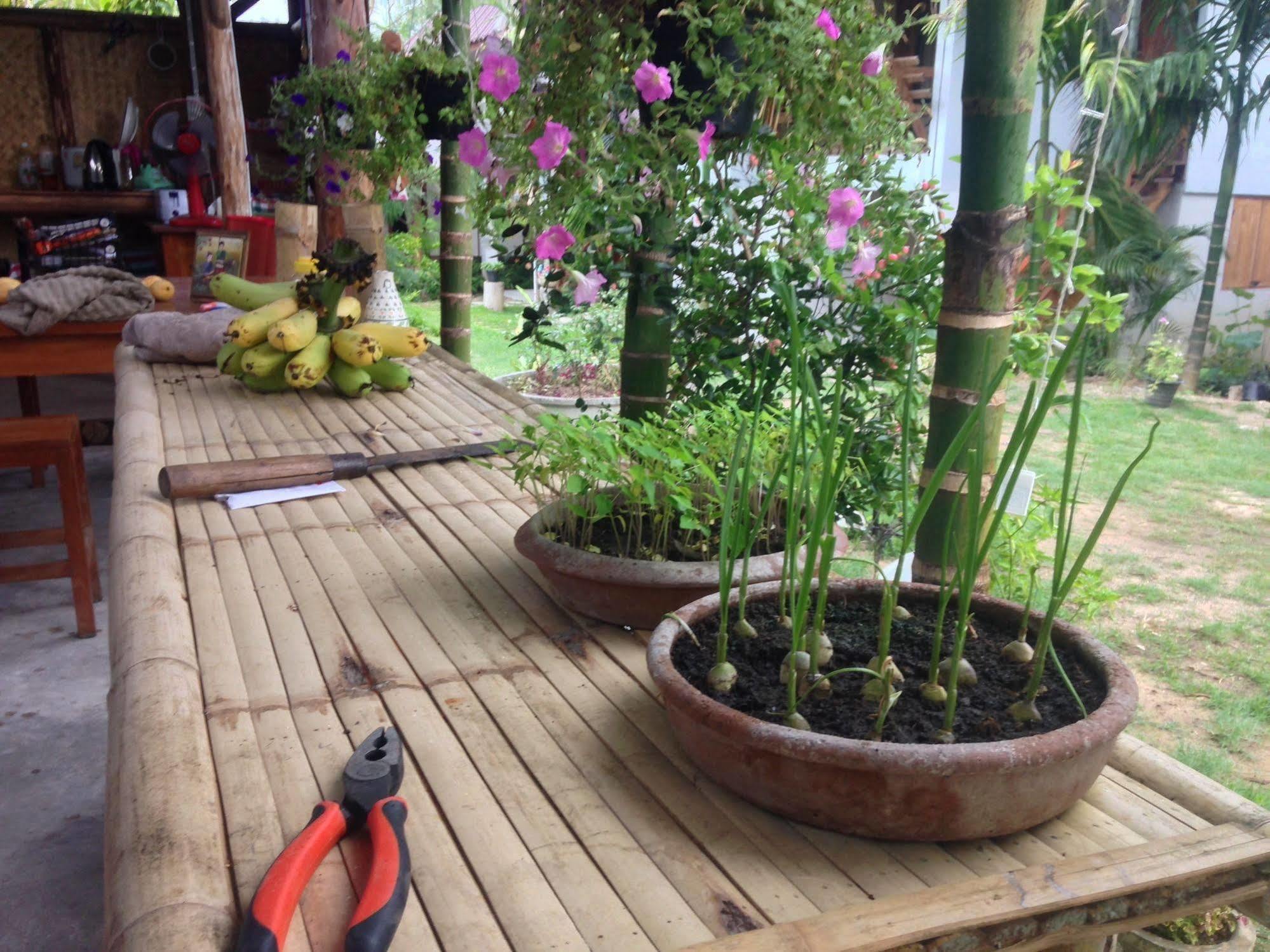Ming Guesthouse Пай Екстериор снимка